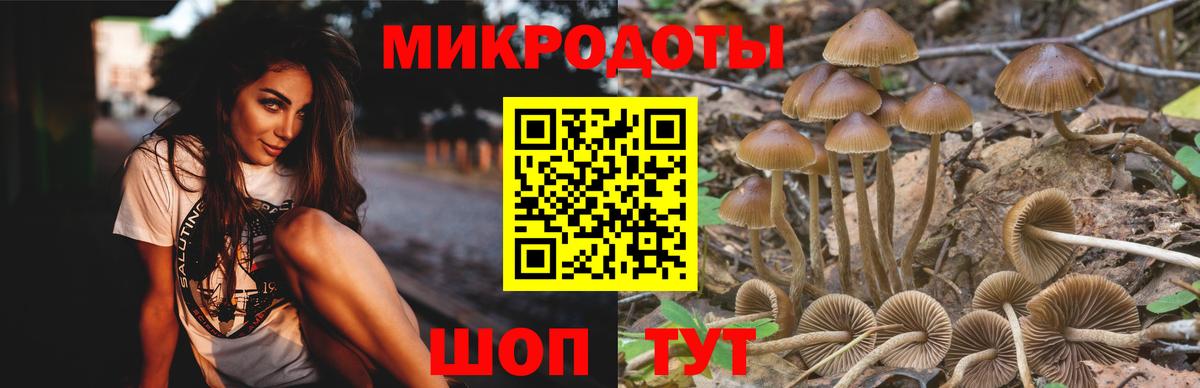 Галлюциногенные грибы прущие грибы  Вход с VPN  Будённовск 